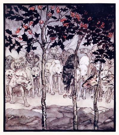 Estaban afuera, llenos de salvajismo y terror de La cueva encantada de Cesh Corran en Cuentos de hadas irlandeses de Arthur Rackham