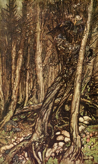 Undine de Friedrich de la Motte Fouqué de Arthur Rackham