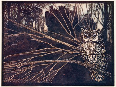 ¿O un búho chillón?, de Los cuentos de hadas de los hermanos Grimm, pub. 1909 de Arthur Rackham