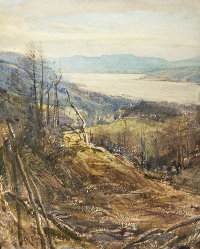Coniston desde cerca de Tarn Hows (acuarela) de Arthur Reginald Smith