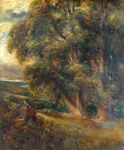 Estudio de árbol de Arthur Reginald Smith