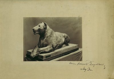 leona de Arthur Strasser