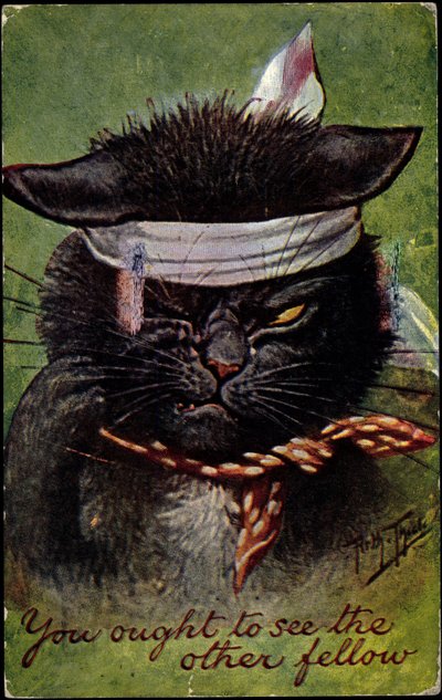 Cat, deberías ver al otro tipo de Arthur Thiele
