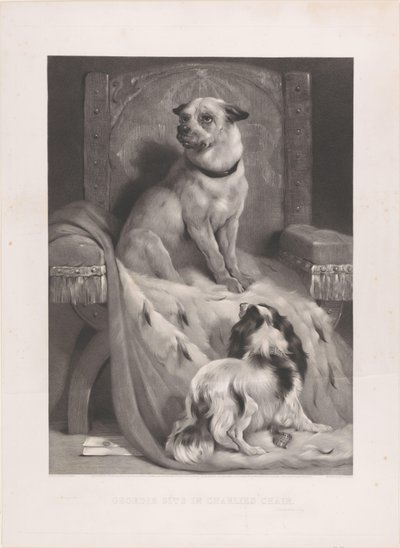 Perro en una capa de armiño en un trono Geordie se sienta en la silla de Charlie (título sobre el objeto) de Arthur Turrell