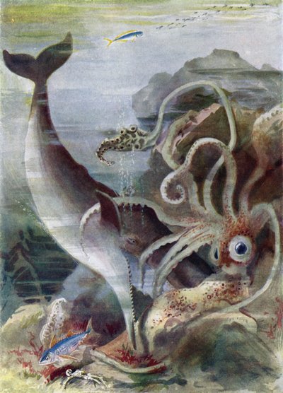 Un cachalote atacando a un calamar gigante de Arthur Twidle