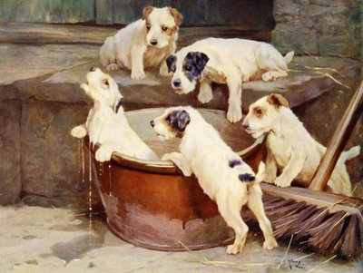 La Orden del Baño - cachorros lavándose de Arthur Twidle