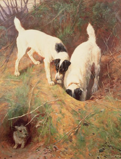 ¿Hay alguien en casa? de Arthur Wardle