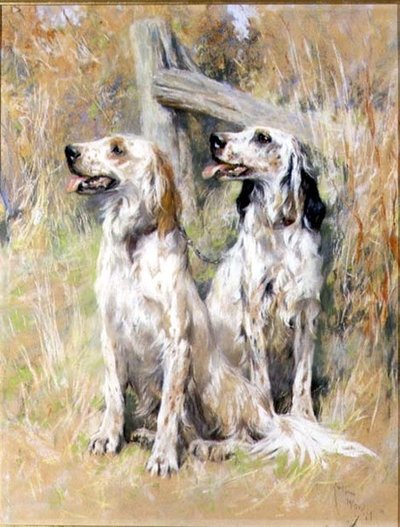 Setters ingleses por un estilo de Arthur Wardle