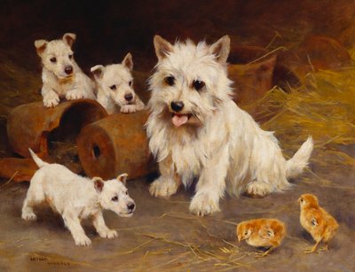 Amigo o enemigo (óleo sobre lienzo) de Arthur Wardle