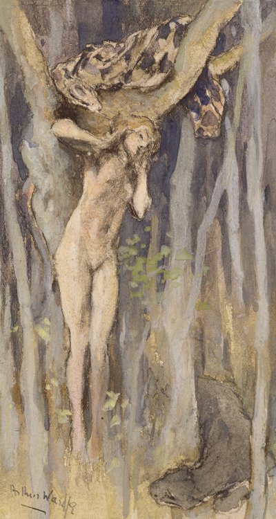 Hamadraid - Spirit of a Tree, c.1890 (pastel, lápiz y acuarela sobre papel) de Arthur Wardle