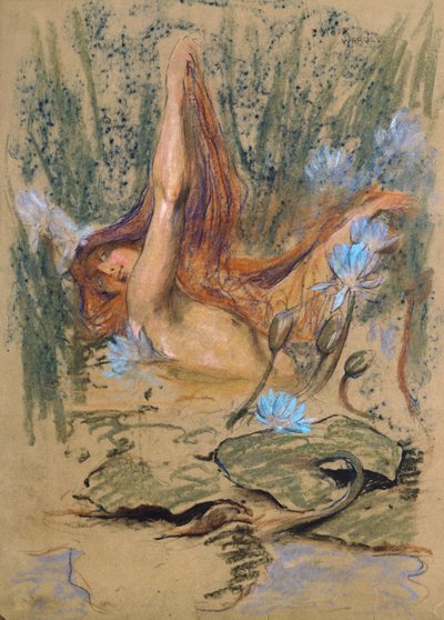 Nymphea, c.1890 (pastel, lápiz y acuarela sobre papel) de Arthur Wardle