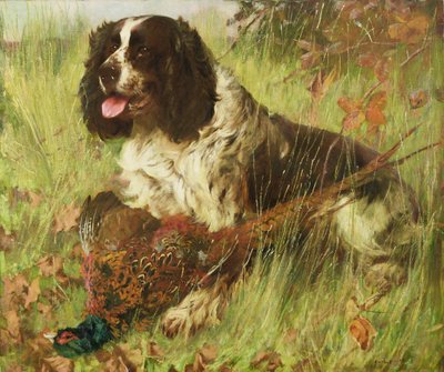 Springer Spaniel con faisán de Arthur Wardle