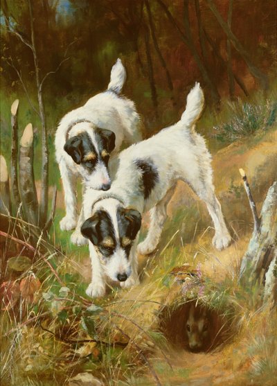 Terriers Conejos de Arthur Wardle
