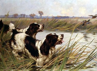 Dos primaveras persiguiendo a los ánades reales de Arthur Wardle