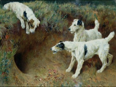 Zorros terriers de pelo duro junto a un conjunto de tejones de Arthur Wardle