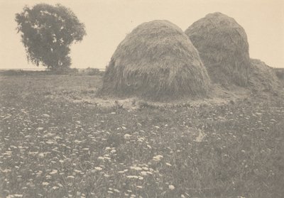 Haystacks, Ipswich,c. 1894 (foto) de Arthur Wesley Dow