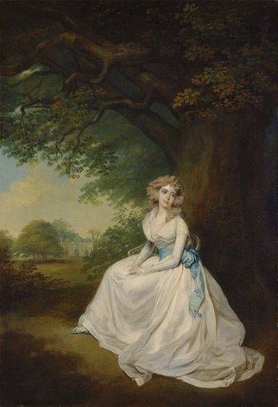 Frances, Lady Chambers (de soltera Wilton) de Arthur William Devis
