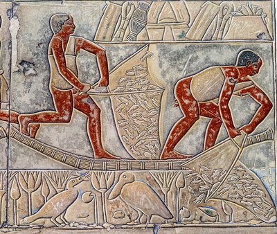 Arte Egipto: la pesca en el agotamiento. Colegio es similar a la Mastaba de Mereruka. de Artist Unknown