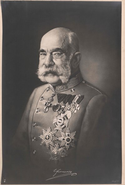 Emperador de Austria Francisco José I de Artist Unknown