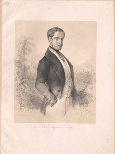 Emperador de Brasil Pedro II de Artist Unknown
