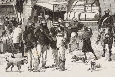 Inglaterra (siglo XIX). La colonización (1880). La vida de los buscadores de oro en Australia. Colonia inglesa de Botany Bay (fundada en 1788) e inicialmente poblada en su mayoría por delincuentes convertidos en buscadores y comerciantes. Grabado. Colecció de Artist Unknown
