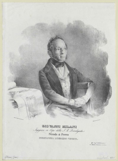 John Milani de Artist Unknown