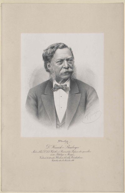 Enrique de Bamberg (imprimir) de Artist Unknown