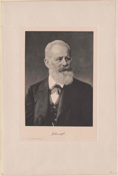 Hermann Nothnagel (imprimir) de Artist Unknown