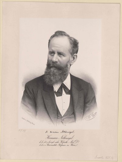 Hermann Nothnagel (imprimir) de Artist Unknown