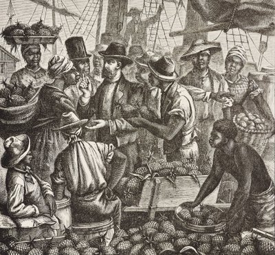 Historia de Inglaterra (siglo XIX). Colonización (1880). Bahama vendiendo piñas. Colonia inglesa en la isla de Nueva Providencia. Las piñas eran uno de los productos de exportación más importantes del puerto de Nassau. Grabado. Colección privada de Artist Unknown