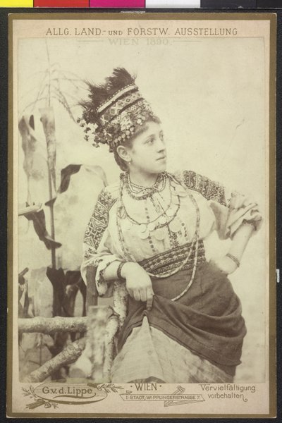 Huzulin de Artist Unknown