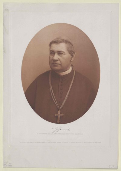 Johannes Haller (imprimir) de Artist Unknown