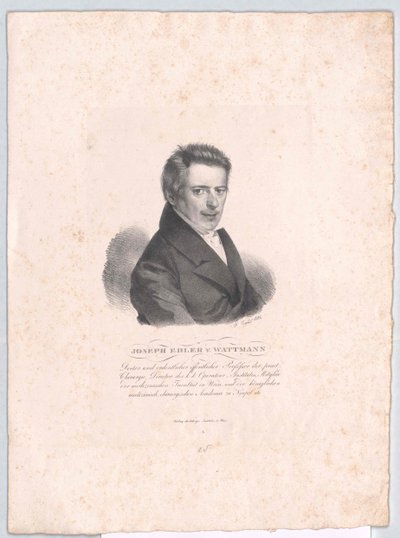Joseph Barón Wattmann-Maelcamp-Beaulieu (imprimir) de Artist Unknown