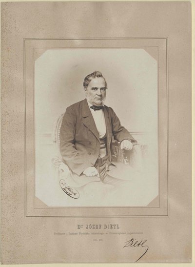 Joseph Dietl de Artist Unknown