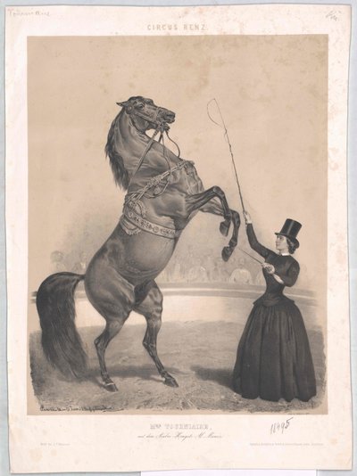 Vivió hacia 1860 Tourniaire de Artist Unknown