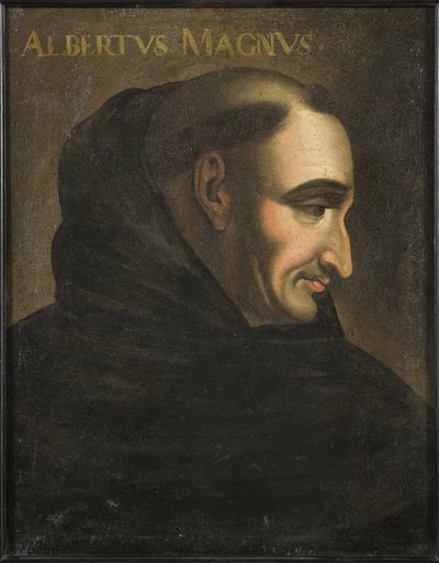 San Alberto el Grande (Albrecht von Bollstadt o Alberto de Colonia) (1200-1280) - Albertus Magnus (óleo sobre lienzo) de Artist Unknown