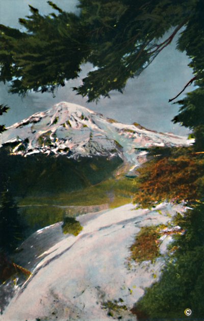 Monte Tacoma desde Eagle Peak, Washington, c1916 de Asahel Curtis