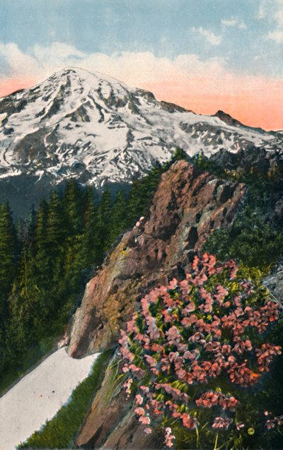 La prímula en el Monte Rainier de Asahel Curtis