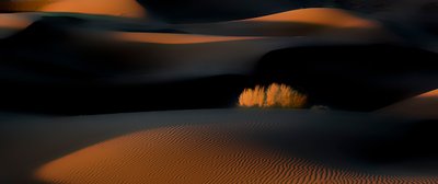  de Asef Azimaie