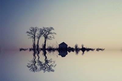 Reflejo sereno en el agua de Asef Azimaie