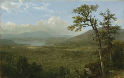 Montañas Adirondack, N.Y., 1870 de Asher Brown Durand