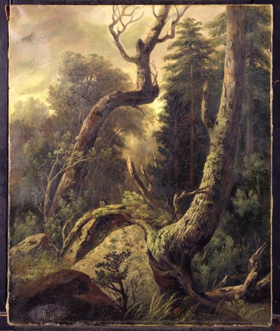 Paisaje forestal de Asher Brown Durand
