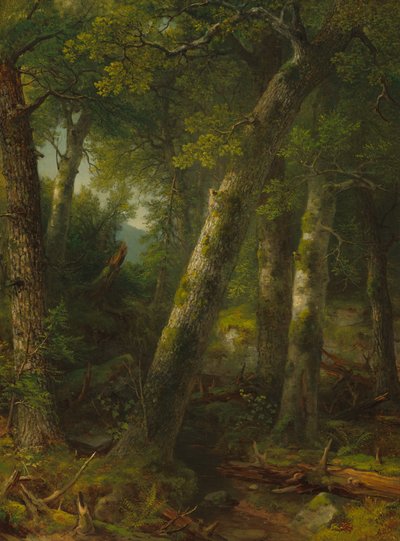 Bosque en la luz de la mañana, c. 1855 de Asher Brown Durand