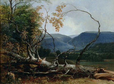 Stratton Notch, Vermont de Asher Brown Durand
