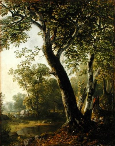 Estudio en Marbletown, Condado de Ulster, Nueva York de Asher Brown Durand