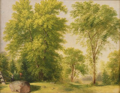 Estudio de la naturaleza, Hoboken, Nueva Jersey, c.1834 de Asher Brown Durand