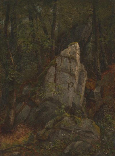 Estudio de rocas en el barranco de Pearson de Asher Brown Durand