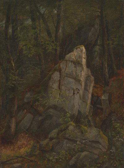 Estudio de rocas en el barranco de Pearson, mediados de la década de 1850 de Asher Brown Durand