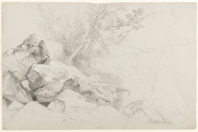 Estudio de rocas con árboles, Hague, Lago George, Nueva York, 1862 de Asher Brown Durand