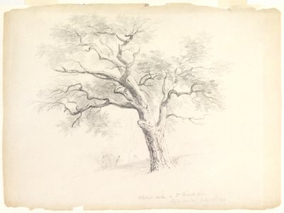 El Roble Castaño en la Finca Hosack, Hyde Park, Nueva York con Cinco Figuras y un Artista Dibujando, 1838 de Asher Brown Durand